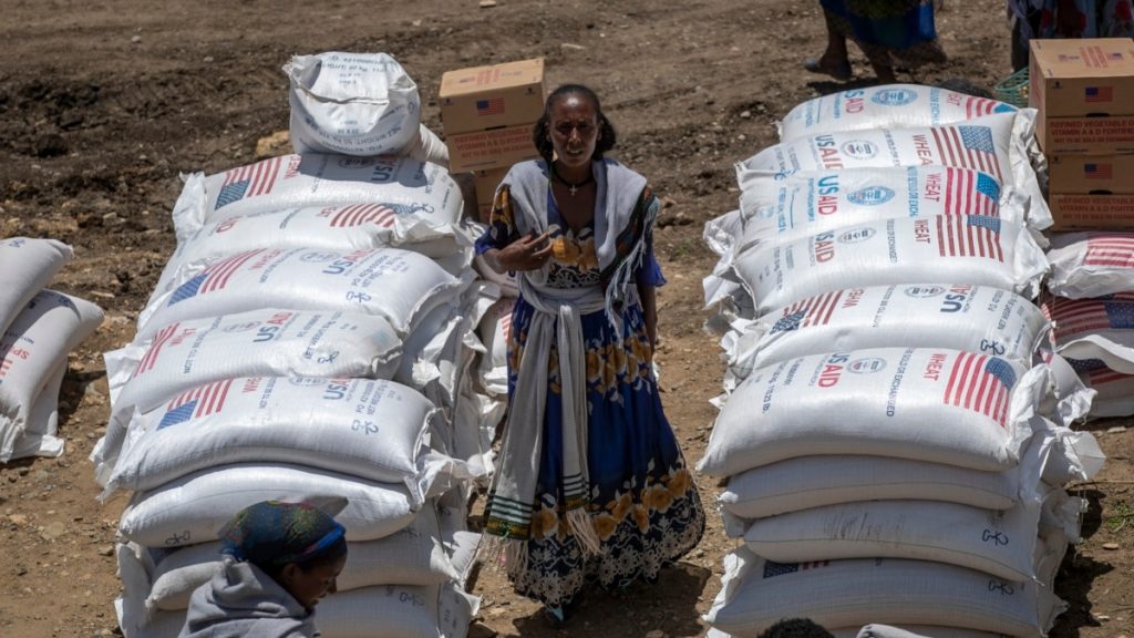 Les conflits et le changement climatique conduisent des centaines de millions de personnes à souffrir de la faim, selon l'ONU