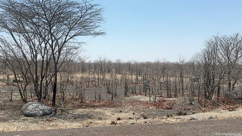 Drought in namibe: le différend sur l'eau se termine par une tragédie